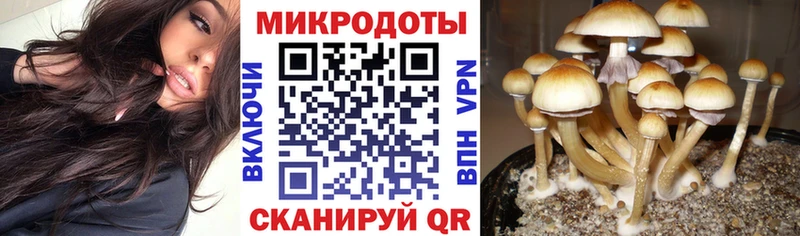 shop клад  KRAKEN сайт  Ладушкин  Псилоцибиновые грибы Magic Shrooms 